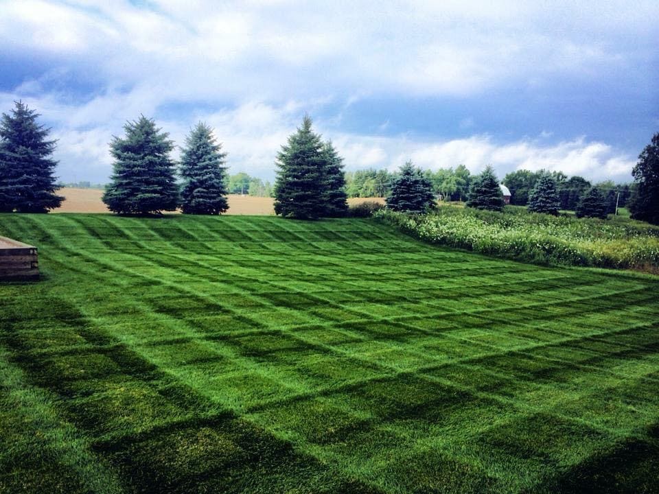 Painting Services Image 2